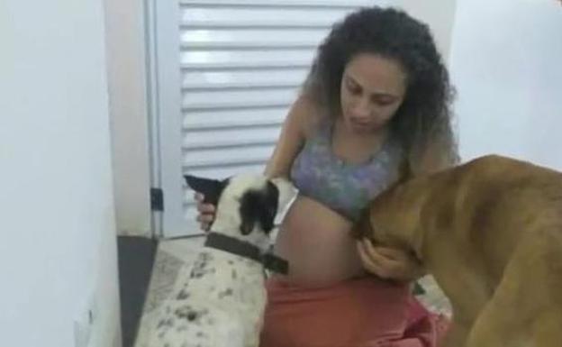 Un perro mata a dos gemelas recién nacidas por «celos» | El Comercio